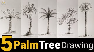 5 Palm Tree Drawing  Pencil Drawing with Shading [upl. by Swords]