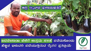 Brinjal Farm Visit By Team AgriApp [upl. by Ardnaxila]