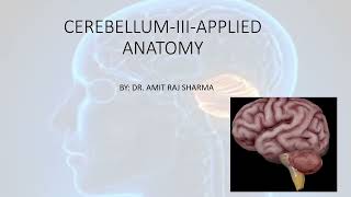 CEREBELLUMIIIAPPLIEDCEREBELLAR SYNDROMELESION OF VERMISREBOUND PHENOMENONDANDYWALKER SYNDROME [upl. by Eelanej579]