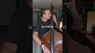 Thumb Position on Double Bass  How I Get Started doublebass [upl. by Notnroht320]