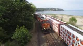 BNSF Freight Trains at Carkeek Park in Seattle Washington [upl. by Aynotan613]