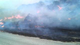 AmeriCorps NCCC Class 17 Fire Management [upl. by Anilosi]