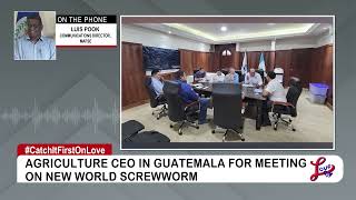 Belize and Guatemala Collaborate to Tackle New World Screwworm Outbreak  PT 2 [upl. by Pittman182]