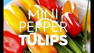 Mini Pepper Tulips [upl. by Barthol227]