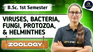 Viruses Bacteria Fungi Protozoa amp Helminthes  BSc Zoology 1st Semester  Unit8  NEP2020 [upl. by Enovahs]