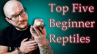 Top 5 Best Beginner Reptiles [upl. by Annocahs]