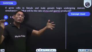 If germ cells in female and male gonads begin undergoing meiosis simultaneously What will be the [upl. by Oringas]