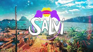 Sak Noel amp Salvi  Horny Official Audio [upl. by Etteuqaj]