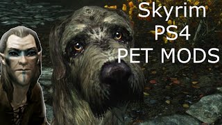 Skyrim ps4 mods  Skyrim pet mods Awesome Skyrim pets and Skyrim mods 2023 [upl. by Er]