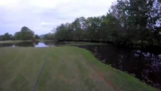 First Video New Lunkerhunt poppin frog [upl. by Ytte898]