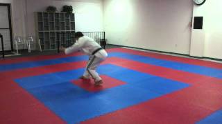 Forward Roll  Cartwheel Combination [upl. by Neiv]