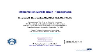 Inflammation Derails Brain Homeostasis  Dr Theoharis Theoharides  INIM Conference 2024 [upl. by Ganley954]