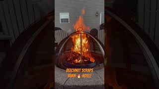 Beechnut scraps burn🔥hot in the Solo Yukon asmr eastonmade firewood solostove yukon [upl. by Edmee]