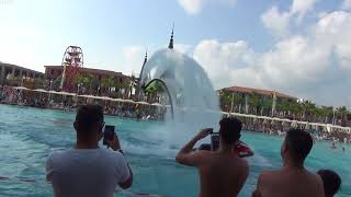 Granada Luxury Belek 5 Turkey Belek Flyboard show Флайборд шоу в бассейне [upl. by Lockwood]