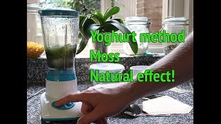 Dry Start Method Aquarium  How to grow aquarium moss [upl. by Atirb]