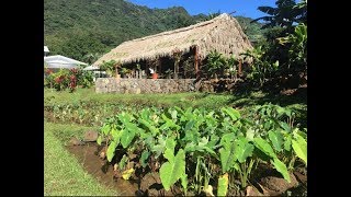 KULOLO WORKSHOP IN KALIHI [upl. by Teeniv]