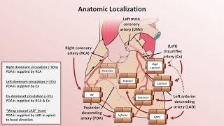 Intro to EKG Interpretation  Myocardial Infarctions Part 1 of 2 [upl. by Benenson]