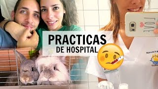 ¡Nos mudamos por dos semanas  VLOG [upl. by Berna]