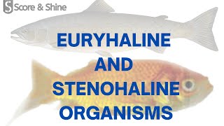 EURYHALINE AND STENOHALINE ORGANISMS  EXAMPLES  PREVIOUS YEAR QUESTION  TARGET SO AFO 20222023 [upl. by Heiner]