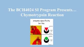 Chymotrypsin mechanism [upl. by Marylin]