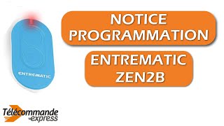 Comment programmer votre télécommande de portail ENTREMATIC ZEN2B [upl. by Vaclav565]