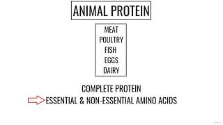 Proteins and protein metabolism [upl. by Mellie594]