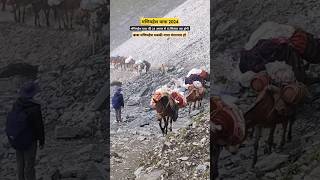 manimahesh yatra 2024 manimaheshyatra2024 manimaheshyatra manimahesh [upl. by Purdum]