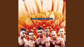 Rammstein [upl. by Hgeilhsa]