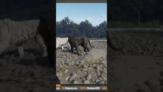 Bengal Tiger Spotlight  Fur Types and More  theHunter Call of the Wild shorts tiger [upl. by Hagi]