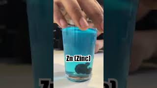 Copper Sulphate vs Zinc 😱 experiment science Shorts [upl. by Ronel337]