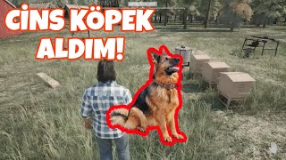 ÇİFTLİĞİME YENİ KÖPEK VE KAMYONET ALDIM  RANCH SİMULATÖR 8 BÖLÜM [upl. by Folsom]