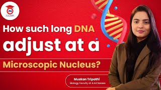 How such long DNA adjust at a microscopic Nucleus [upl. by Firooc]