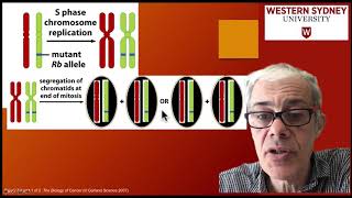 34 Loss of heterozygosity LOH [upl. by Mischa]