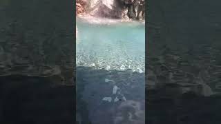 🌊Guhantara resort water falls Bangaloreresort waterfall water shorts bangalore holiday happy [upl. by Dynah722]