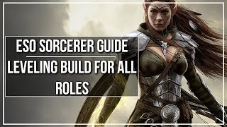 ESO Sorcerer Leveling Build All Roles [upl. by Llerahc921]