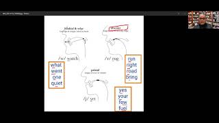 English Consonants Approximants — l ɹ j w [upl. by Hogle132]