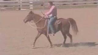 Gaited Horses Naturally [upl. by Edbert]