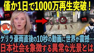 【海外の反応】世界中で1000万再生された日本の駅の光景に世界中が震撼した理由とは [upl. by Crowley286]