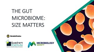 The gut microbiome Size matters [upl. by Aseeram797]