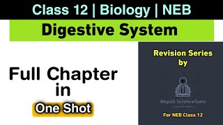 Digestive System of Human Being in One shot  Class 12 Biology NEB  Nepali ScienceGuru [upl. by Katya]