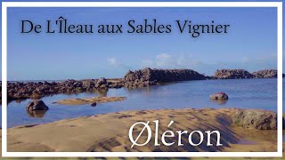 Île dØléron de LÎleau aux Sables Vignier entre plages et dunes Randonnée facile avec tracé [upl. by Esinehs846]