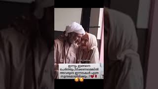 ഇന്നും ഇങ്ങനെ ചേർത്ത് പിടിക്കണ മെങ്കിൽ അവരുടെ ഇന്നലകൾ എത്ര സുന്ദര മായിരിക്കും ❤️❤️❤️ [upl. by Eceryt]