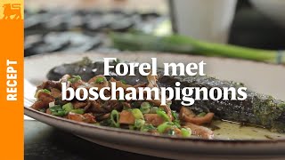 Forel met boschampignons [upl. by Arbed]