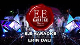 ERHANE KARAOKE  ERİK DALI KARAOKE ŞARKILAR  KARAOKE TÜRKÜLER  KARAOKE SONGS COVER [upl. by Danzig]