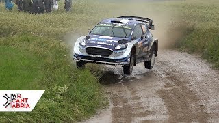 WRC Rally Poland 2017  Flat out  WRC [upl. by Earle]