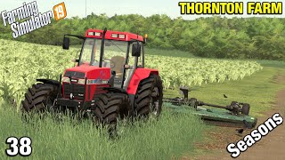 BUYING A SMALL YARD TRACTOR Thornton Farm Timelapse  FS19 Ep 38 [upl. by Sarid479]