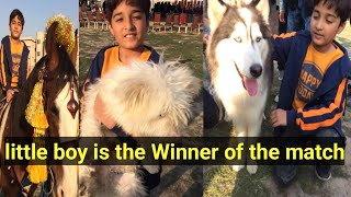 Dog show  Horse Show  cricket Match  Love letter Little boy winner of the match  Fun Happiness [upl. by Clements]