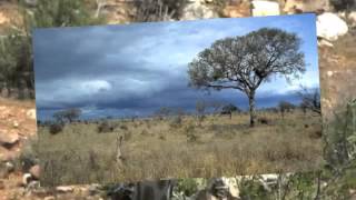 The Savanna Biome in South Africa [upl. by Gray636]