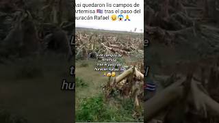 Artemisa después del paso de huracán debastada🙏😱😥 [upl. by Perzan520]