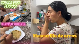 ✅RECETA shampoo anticaida  Mascarilla de arroz 🍥 COMIDA SALUDABLE PARA MASCOTAS [upl. by Roye]